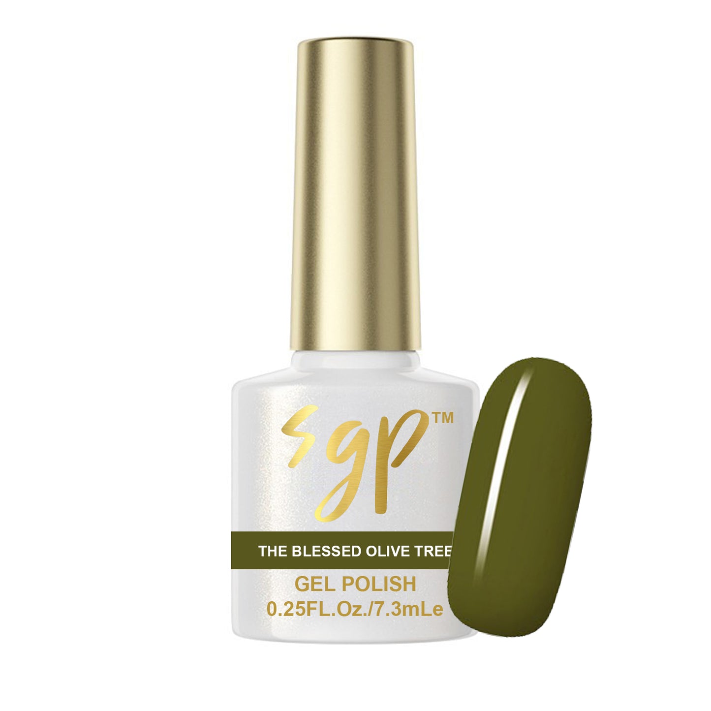 M48 - The Blessed Olive Tree